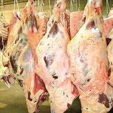 BEEF Fat
