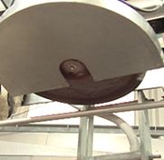 ASC-1 Automatic Hock Cutter